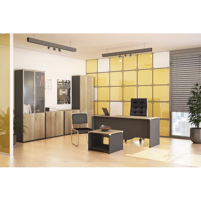 Bookcase Lotus pakoworld with four doors by glass and wood in oak - dark grey color 80x40x200cm