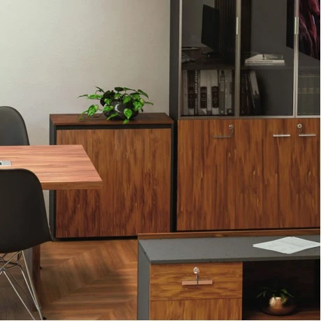 Professional low cabinet Oscar pakoworld in walnut-anthracite color 80x40x80cm