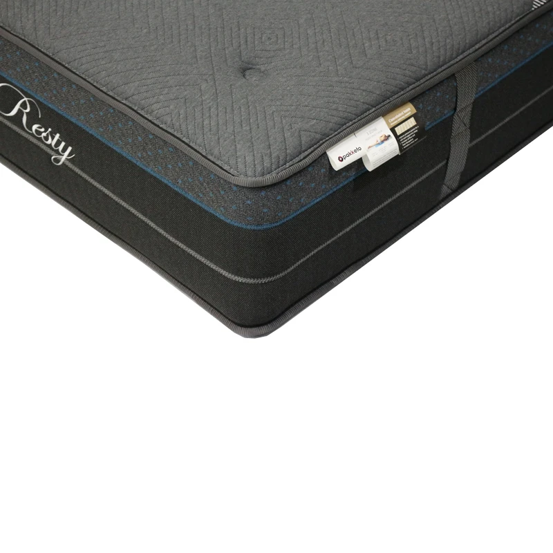 Resty Pakoworld single-sided pocket spring mattress with integrated euro top 32cm 100x200cm