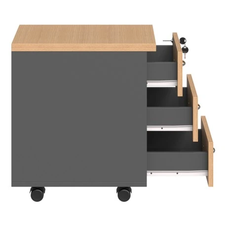 Συρταριέρα τροχήλατη επαγγελματική Fesialo pakoworld φυσικό-ανθρακί 39x47x52.5εκ