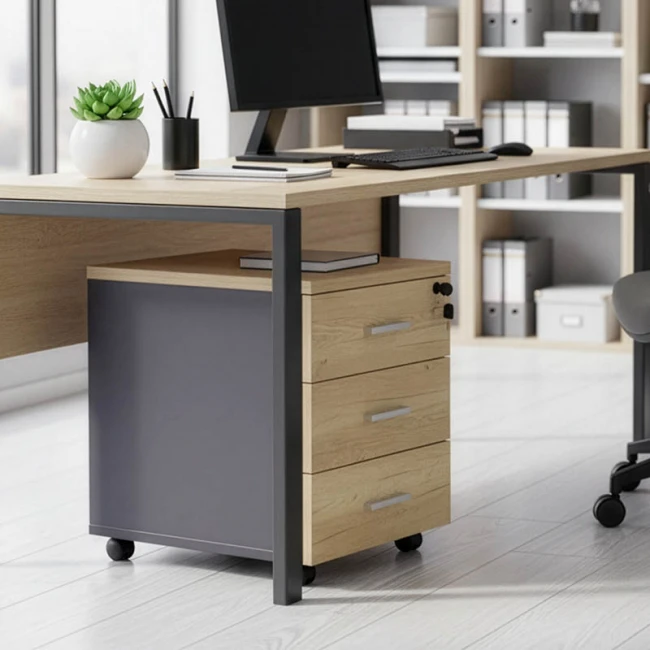 Συρταριέρα τροχήλατη Lotus pakoworld 3ων συρταρίων φυσικό-ανθρακί χρώμα 40x47x55εκ