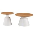 Parquet pakoworld coffee tables set of 2 white metal- mdf in natural shade