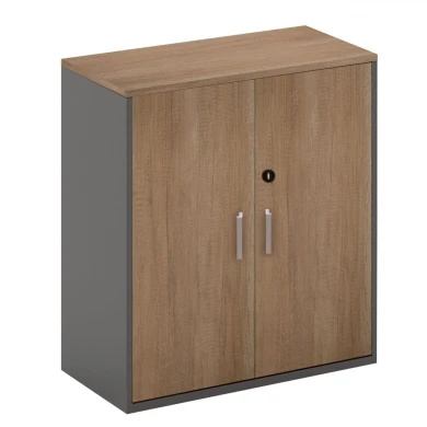 PROLINE Low Cabinet Wild Oak/Black