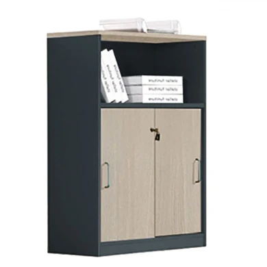 PROGRESS  Cabinet With Shelf Elm/Grey