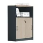 PROGRESS  Cabinet With Shelf Elm/Grey